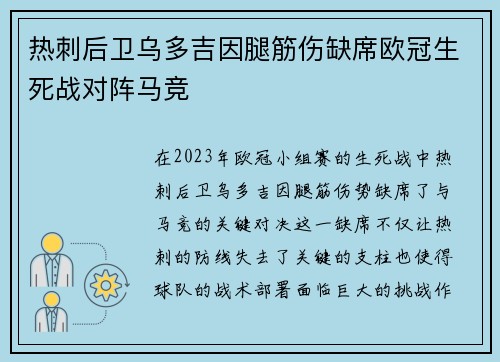热刺后卫乌多吉因腿筋伤缺席欧冠生死战对阵马竞